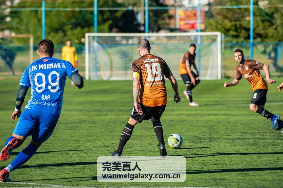 完美真人城市散步与兴趣互动主题活动